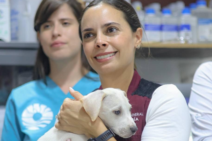 uploads/6/32/01 (25).Png